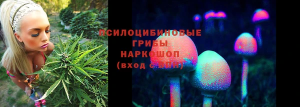 ECSTASY Балахна