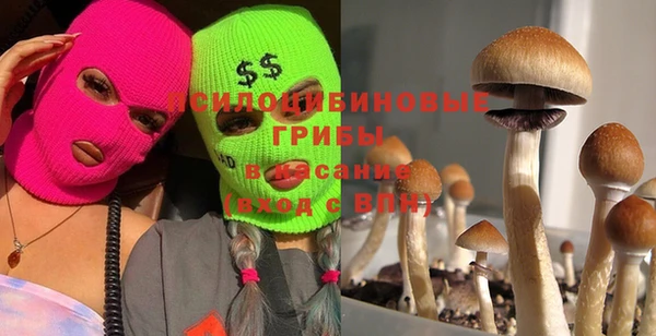 ECSTASY Балахна