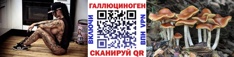 Галлюциногенные грибы Cubensis  купить закладку  маркетплейс формула  Горнозаводск 